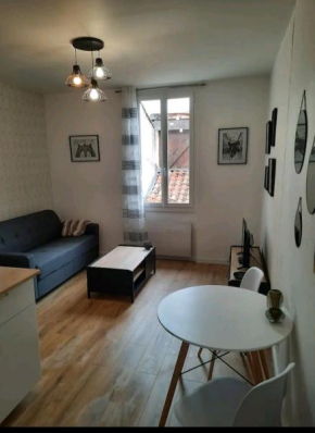 Le Black and White cosy studio Toulouse centre